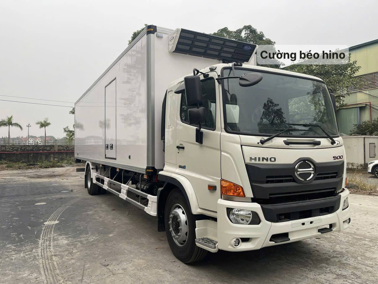 xe tải hino 10m thùng đông lạnh