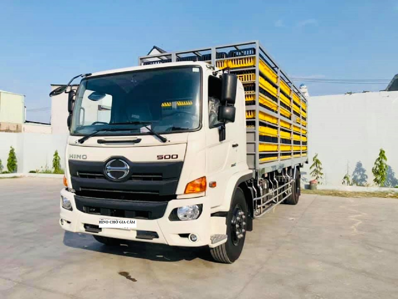 hino fg chở gia cầm gà vịt
