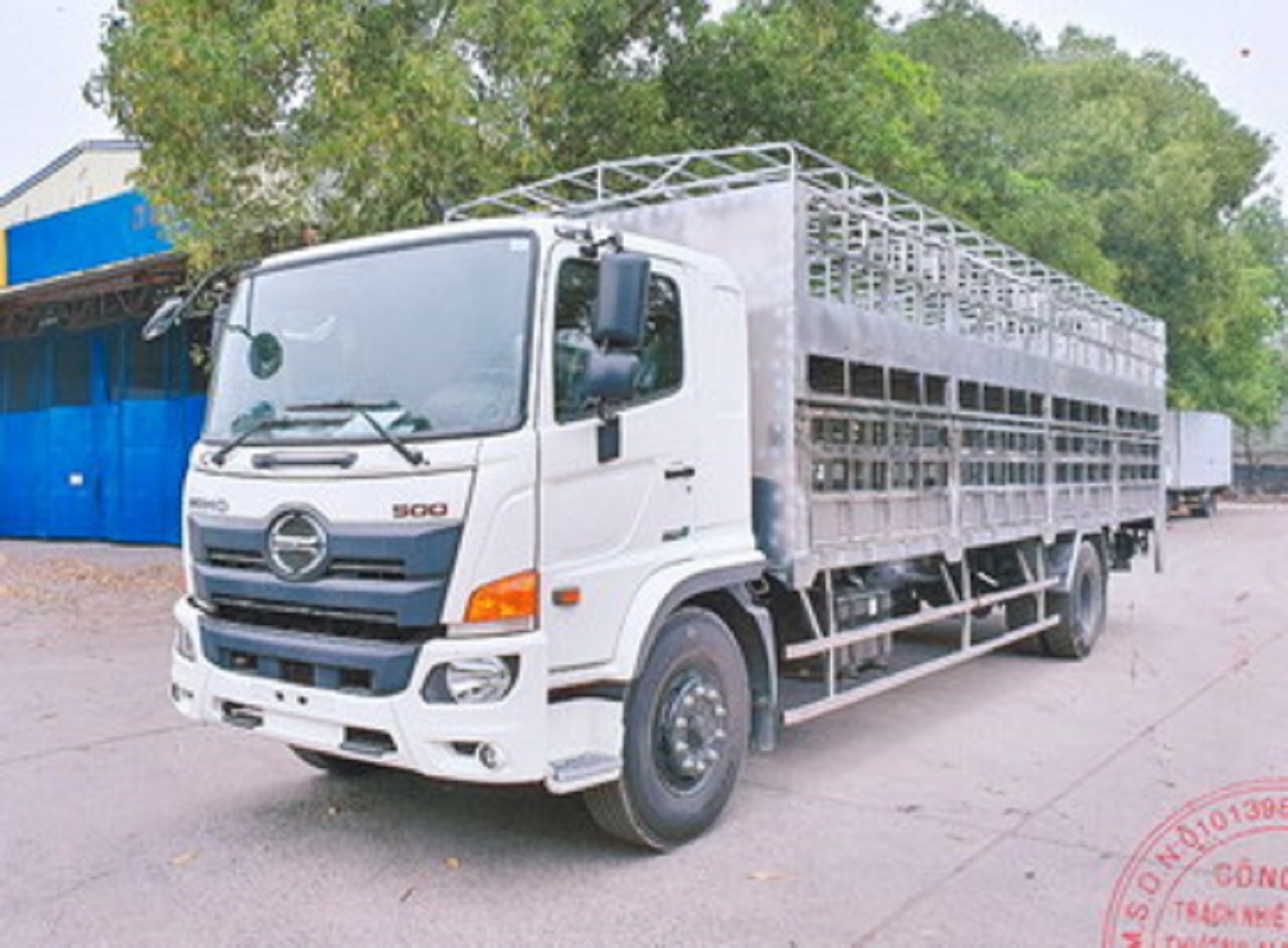 hino fg chở gia súc