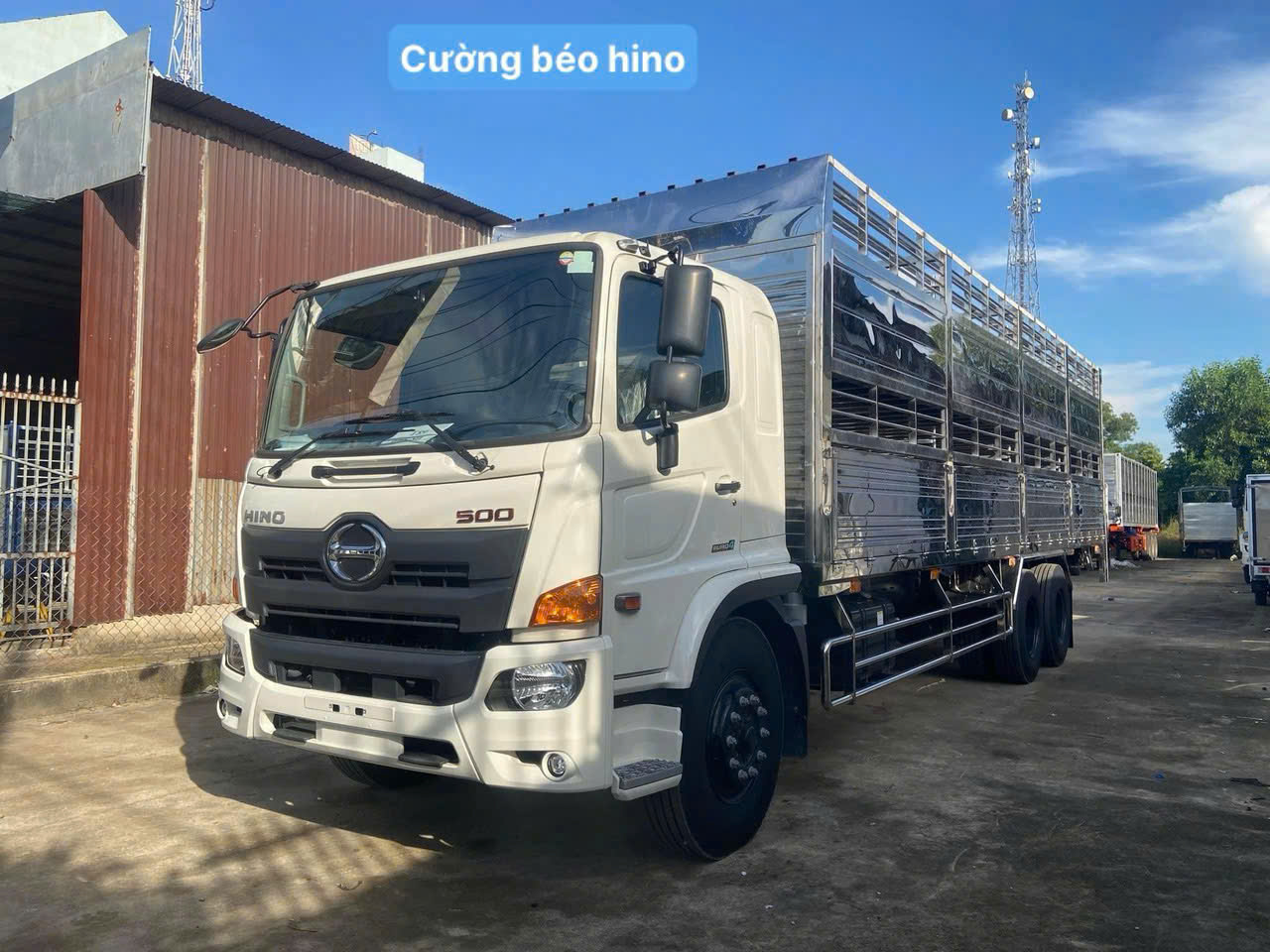 hino fm chở gia súc