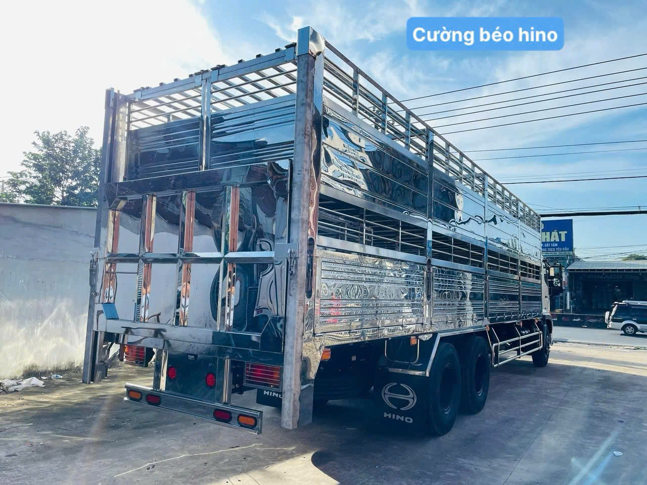 hino fm chở gia súc
